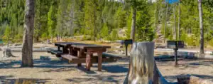 canvas explore page tag picnic area 660 x 260 1